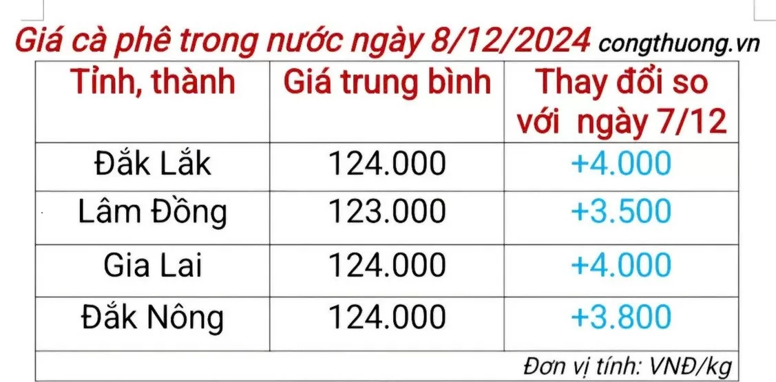 Giá cà phê hôm nay 8/12/2024: Cà phê trong nước tiếp tục chuỗi ngày tăng giá