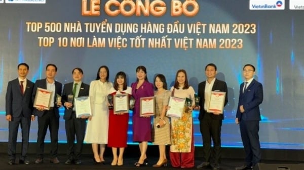 Anunciamos los 500 mejores empleadores y los 10 mejores lugares para trabajar en Vietnam