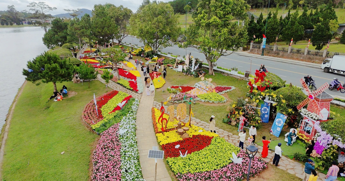 Check-in mit riesigen Bonsais, farbenfrohe Blumenstraße beim Da Lat Blumenfestival