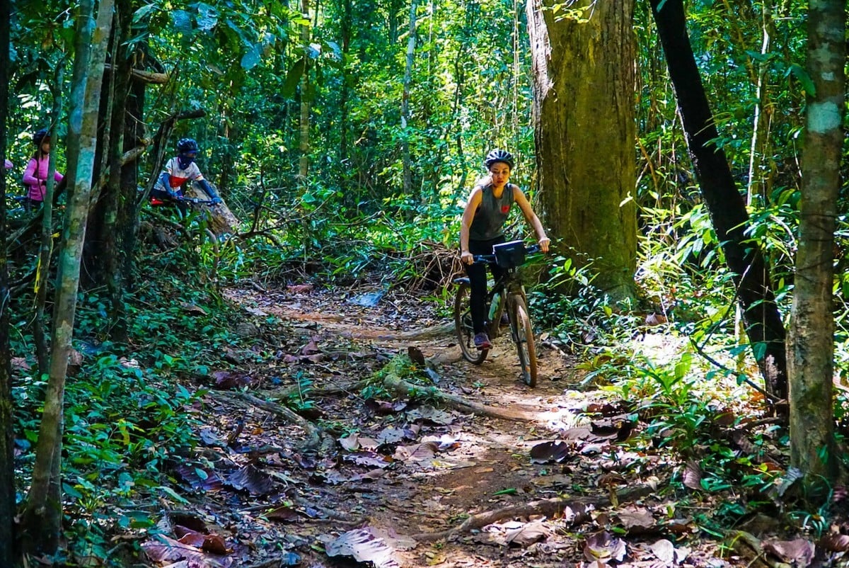 Près de 1 000 milliards de VND investis dans le tourisme forestier à Dong Nai