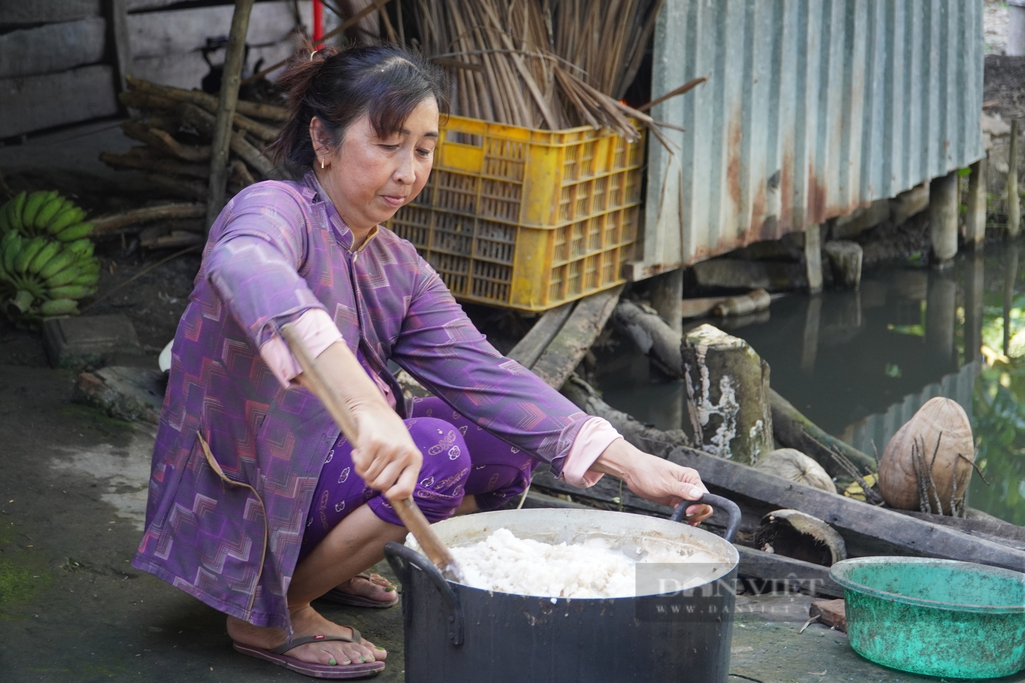 Nuôi ba ba đặc sản bò dày đặc, đẻ la liệt trứng, nông dân Sóc Trăng chán vì giá bán giảm 50%- Ảnh 5.