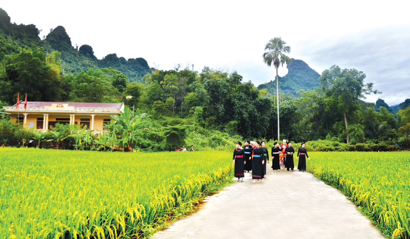 Continuously innovate information and propaganda work for the new rural construction program, picture 2