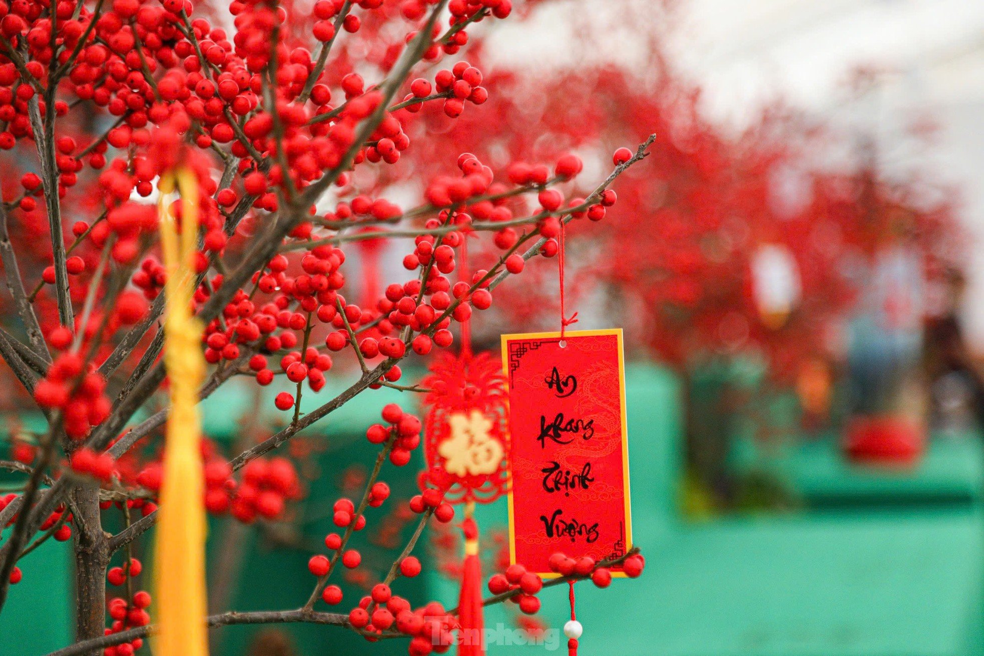 Fresh peach blossoms combined with driftwood worth hundreds of millions of dong still attract customers photo 11