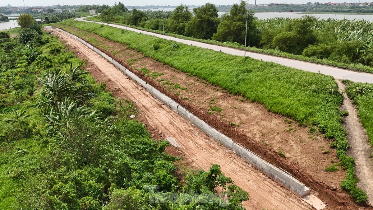 Hanoi dépense près de 400 milliards de VND pour rénover la digue du fleuve Rouge à travers le district de Phu Xuyen, photo 10