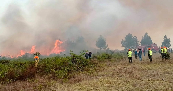 Peru declares state of emergency due to fierce forest fires