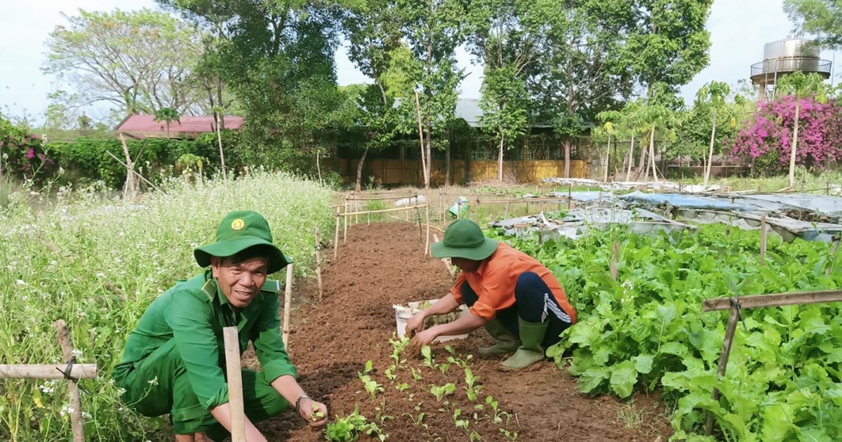 Những tấm gương thầm lặng