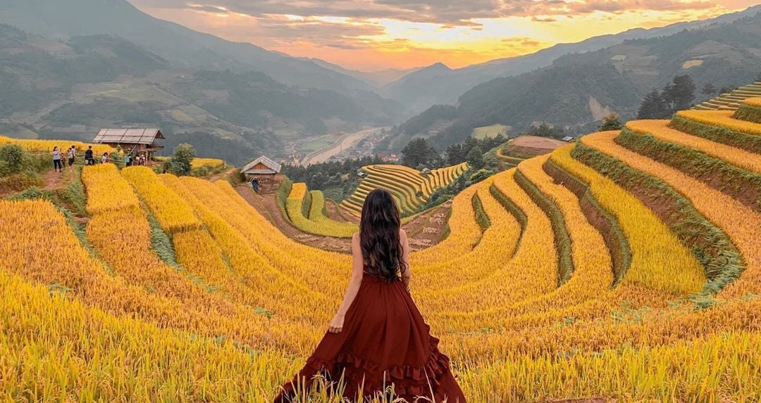 Western newspapers praise Mu Cang Chai for its unreal beauty