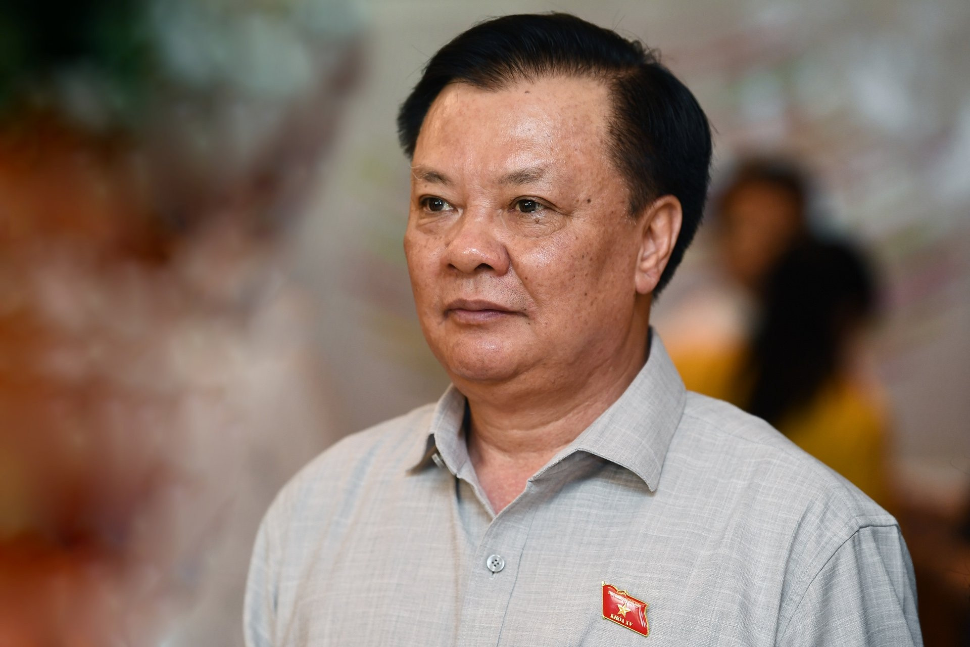 Mr. Dinh Tien Dung ceased to hold the position of Politburo member and Central Party Committee member.