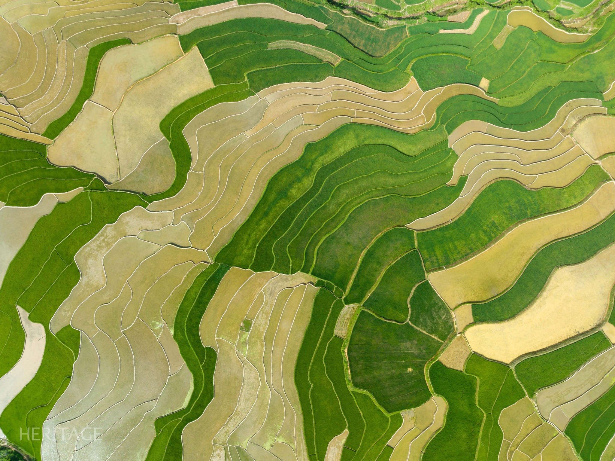 Vaya a Sa Pa para buscar una "vista de un millón de dólares" de los exuberantes campos de arroz verdes en Ta Van