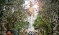 Besucher genießen den Frühling im wunderschönen „rauchfreien“ Tempel in Ho-Chi-Minh-Stadt