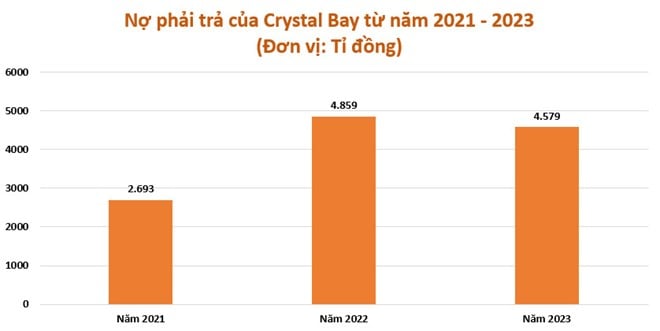 Бизнес Crystal Bay переживает «взлеты и падения», долги растут