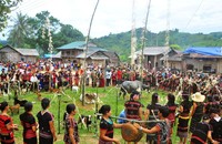 少数民族の祭りを効果的に活用する必要がある。 （出典：クアンチ省博物館・遺跡管理センター）