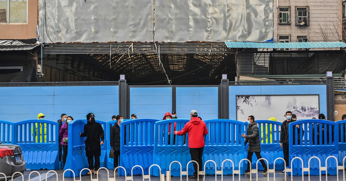 Une nouvelle étude révèle de nouvelles preuves de l'origine du COVID-19 sur le marché chinois