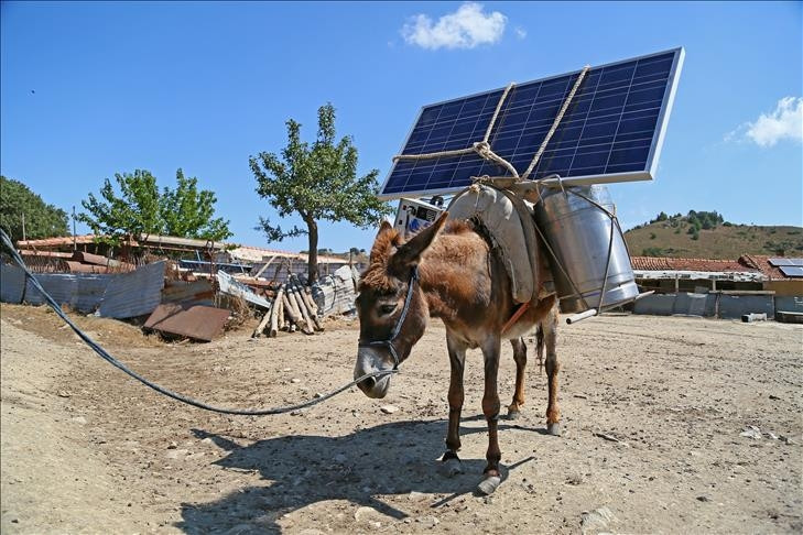 Hören Sie Radio und laden Sie Ihr Telefon auf dem Berg auf, dank eines Esels, der eine Solarbatterie trägt