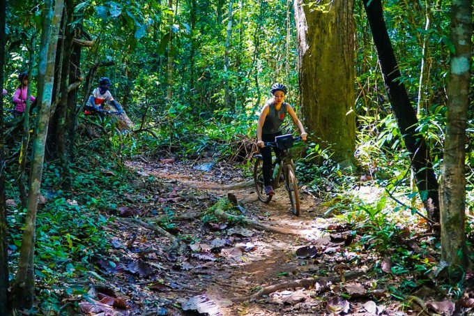 Des touristes font du vélo sous la canopée de la forêt de Ma Da. Photo : Cao Cao Adventures