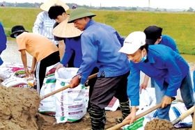 ពីការឆ្លើយតបទៅនឹងសកម្មភាពដំបូងក្នុងការការពារ និងគ្រប់គ្រងគ្រោះមហន្តរាយ