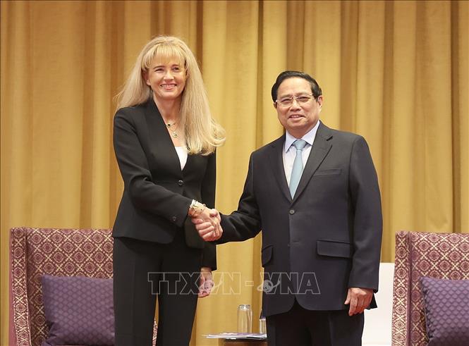 Prime Minister Pham Minh Chinh receives leading Polish businesses