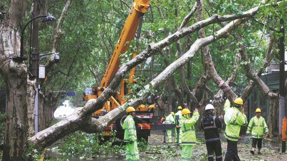 スーパーベビンカは全滅すると大きなダメージを残す、画像3