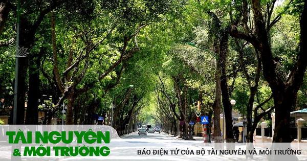 Làm mát đô thị bền vững trước nắng nóng cực đoan