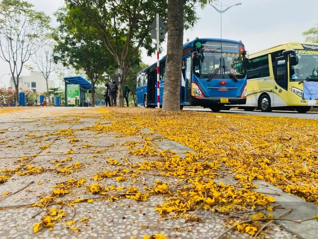 La hermosa carretera de flores de papel como en una película en la ciudad de Ho Chi Minh está causando revuelo en Internet. Foto 14