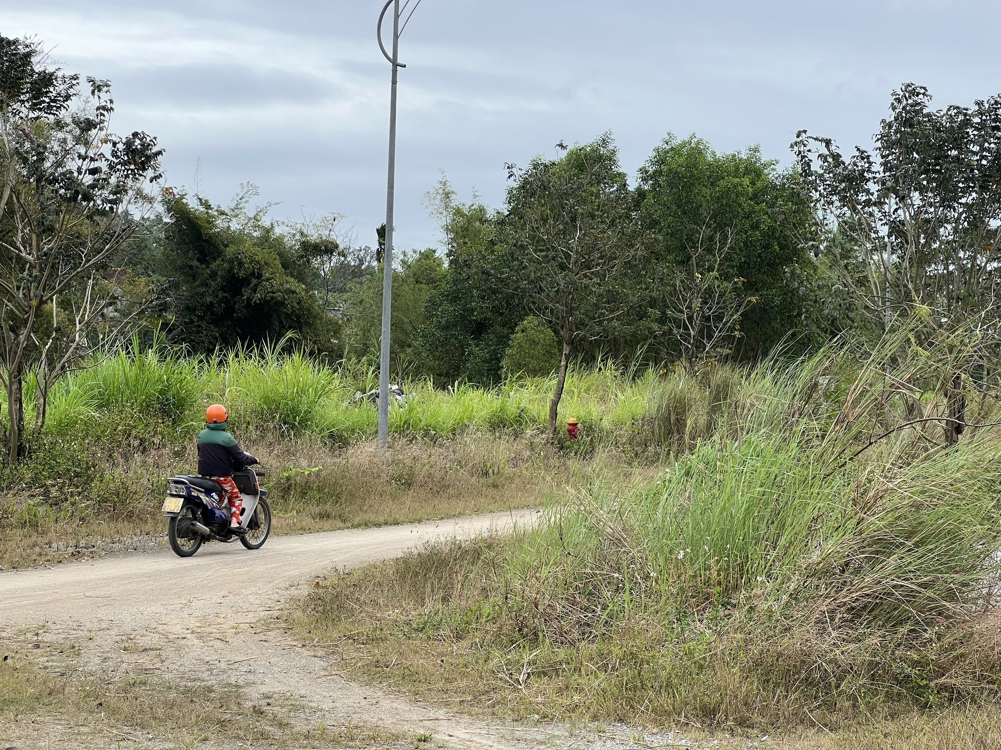 Pasto crecido y basura acumulada en un proyecto residencial de 400 mil millones de dólares en Quang Ngai, foto 16