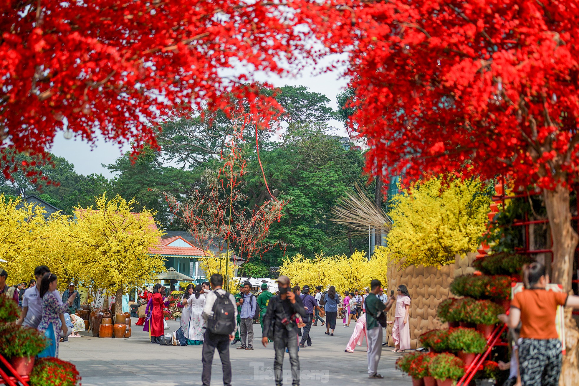 Les rues de Ho Chi Minh-Ville sont remplies de couleurs printanières photo 7