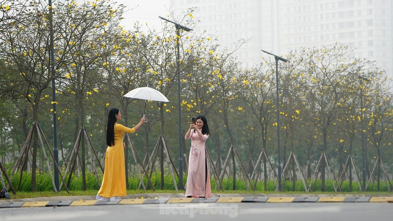 Erfreuen Sie sich an den gelben Windspielblumen, die in der ersten Saison auf den Straßen von Hanoi blühen. Foto 6