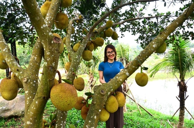 Tạo dáng bên gốc mít. Ảnh: Dương Đình Tường.