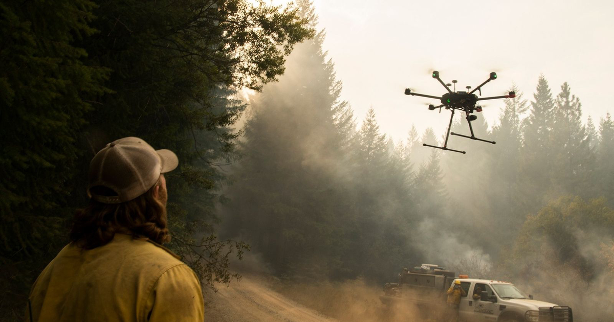 Sauvons la forêt avant qu'il ne soit trop tard