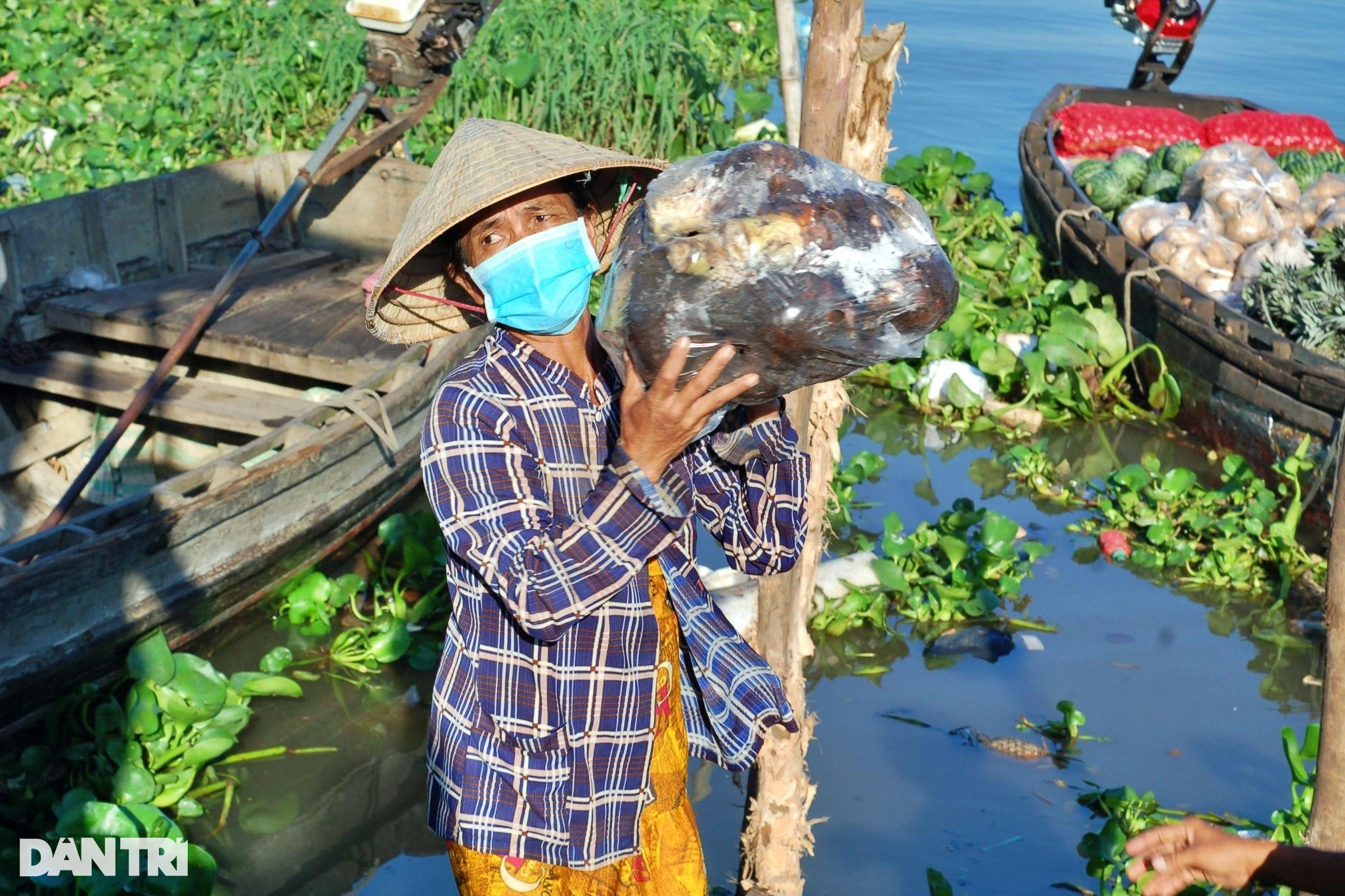 Thương hồ bỏ chợ nổi, cửu vạn thất nghiệp nháo nhác mưu sinh - 5