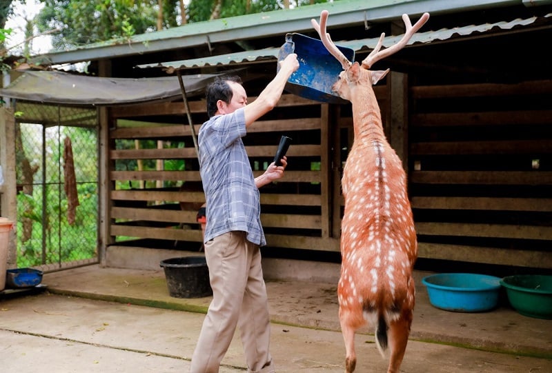 Con hươu chồm l&ecirc;n đi bằng 2 ch&acirc;n trước sự chứng kiến, cỗ vũ của nhiều người