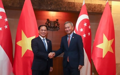 Promoting Vietnam - Singapore cooperation