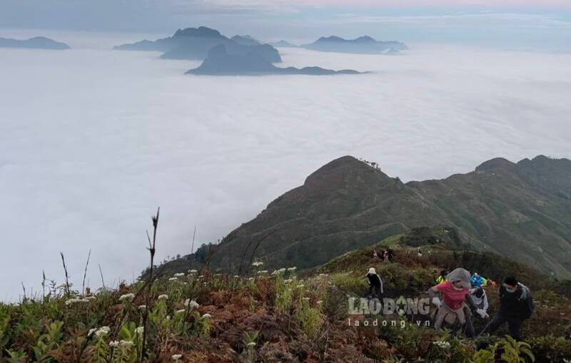 Tourists conquer Lao Than peak. This is one of the highest mountains in Vietnam. Thanks to its majesty, the steep rocks have created beauty for this place.