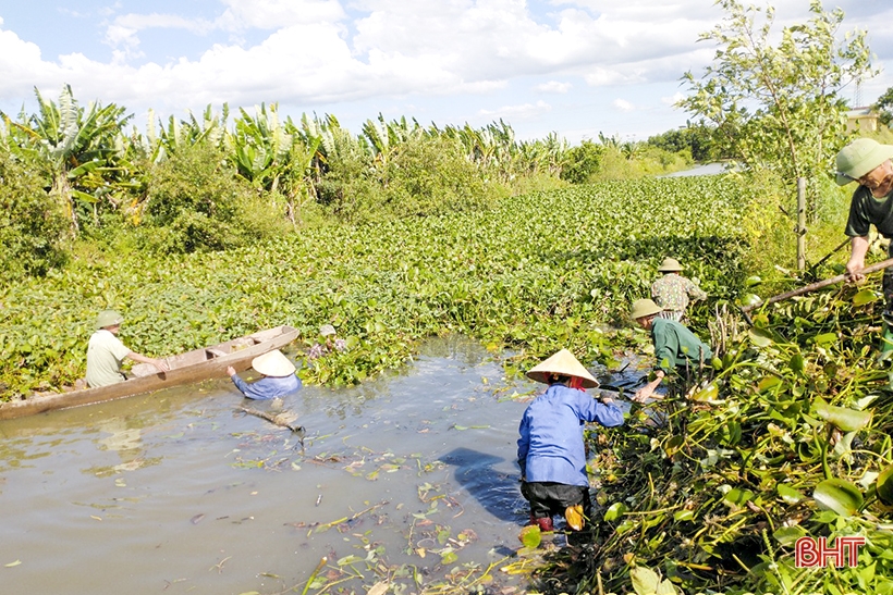 ភាព​លំបាក​ក្នុង​ការ​ដោះស្រាយ​ដំណាំ​ទឹក​នៅ​ប្រឡាយ Le ក្នុង​ក្រុង Duc Tho