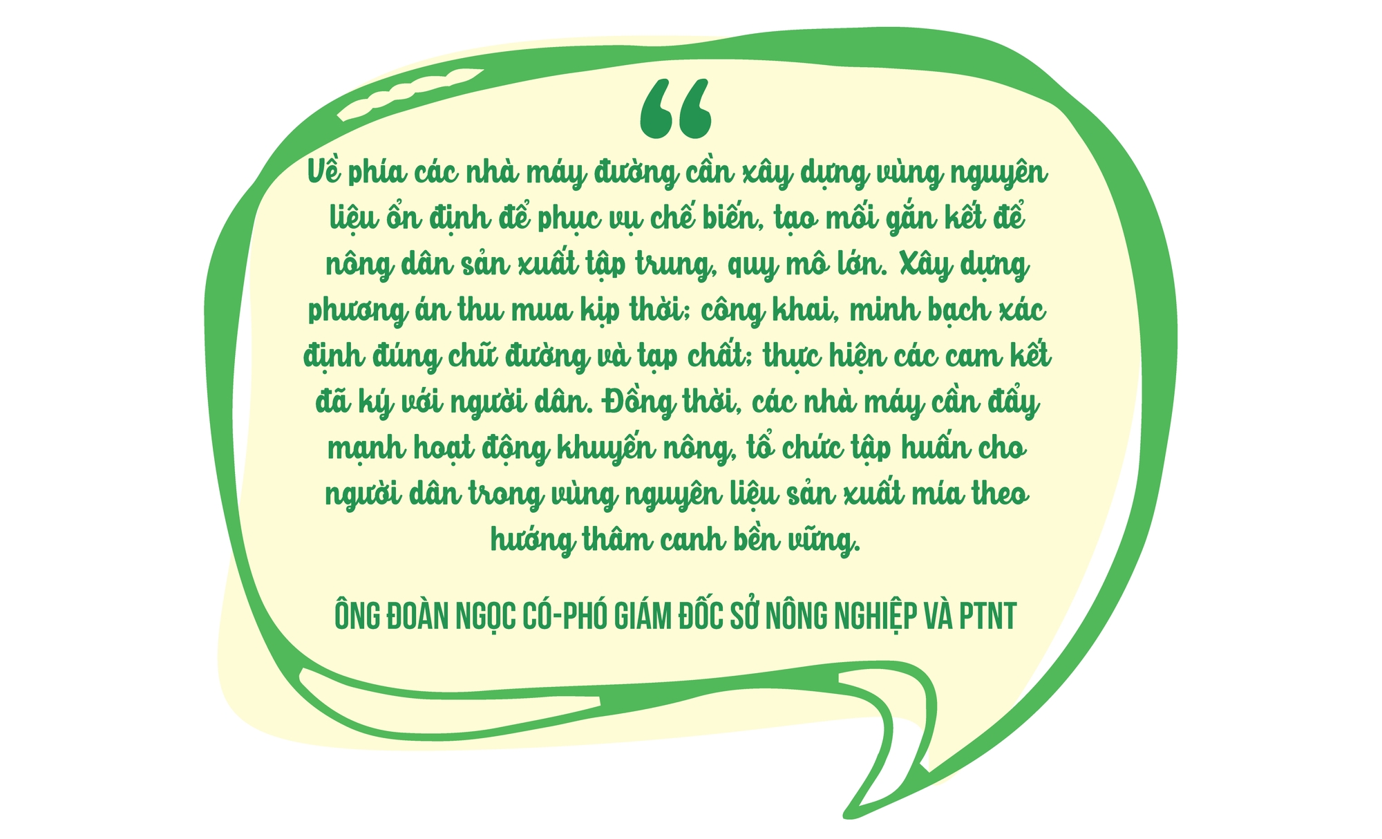 Ngành mía đường: Tổ chức lại sản xuất để phát triển bền vững ảnh 11