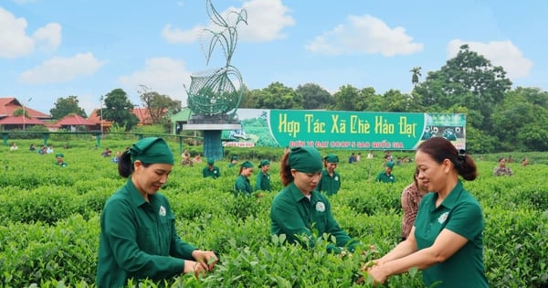 ប្រកាស​បញ្ជី​សហករណ៍​ឆ្នើម​ចំនួន ៦៣ នៅ​ទូទាំង​ប្រទេស​ក្នុង​ឆ្នាំ ២០២៤