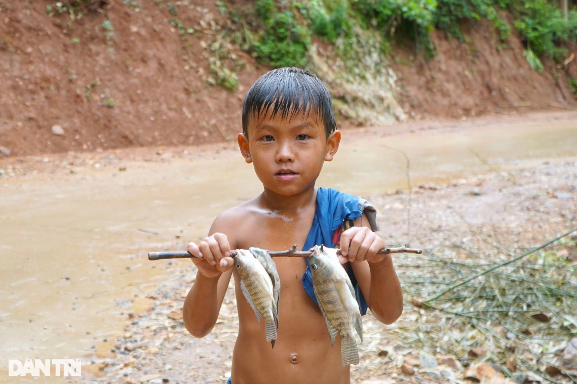 Kỳ nghỉ hè không như mơ của những đứa trẻ vùng cao - 8