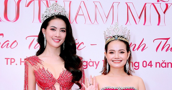 Le Vietnam aura-t-il une reine de beauté de 45 ans, mère de famille et ayant subi une chirurgie esthétique ?