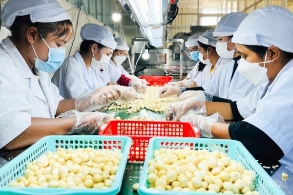 Lesson 1: “Health” of the export market and challenges for Vietnamese enterprises