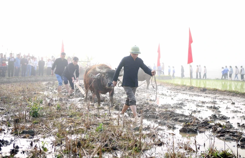 TTXVN_1902lehoilungtung2.jpg