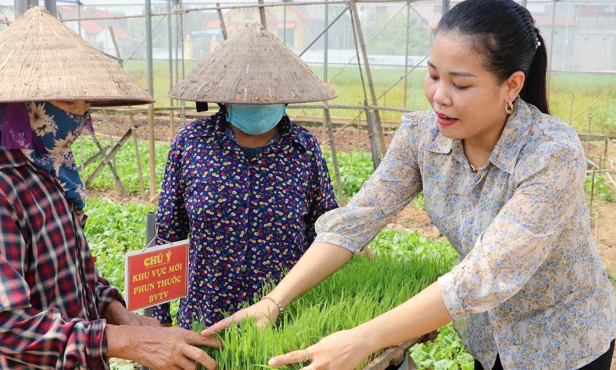 Du parcours d'une mère au foyer à la meilleure agricultrice du pays