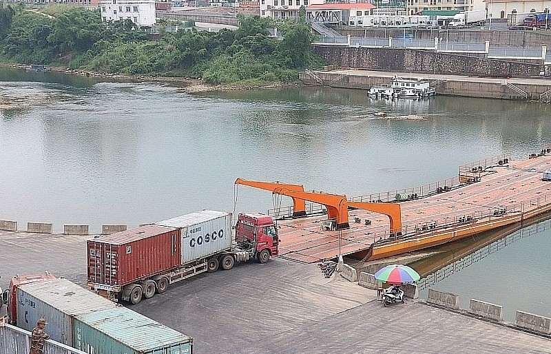 Quang Ninh: Se acabaron los atascos en la exportación de langosta en Mong Cai