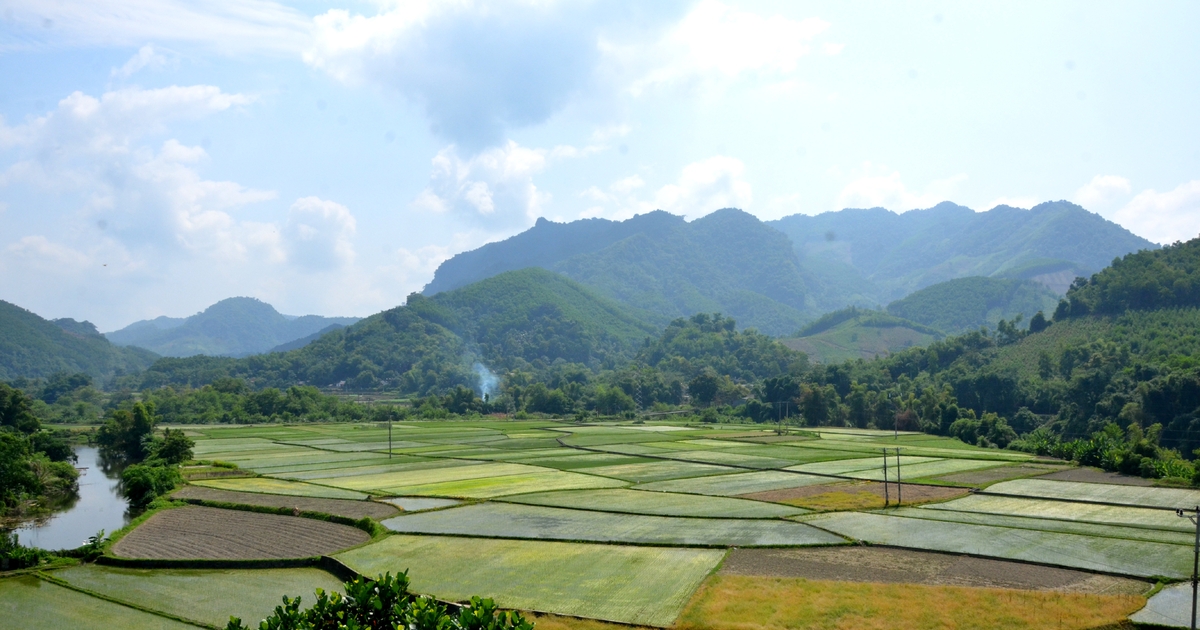 Tập trung sản xuất vụ Mùa đúng khung thời vụ