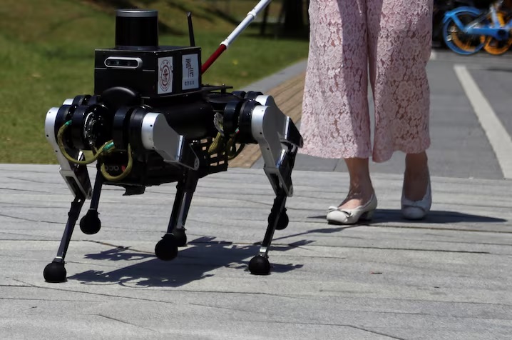 Guide robot dog assists the blind