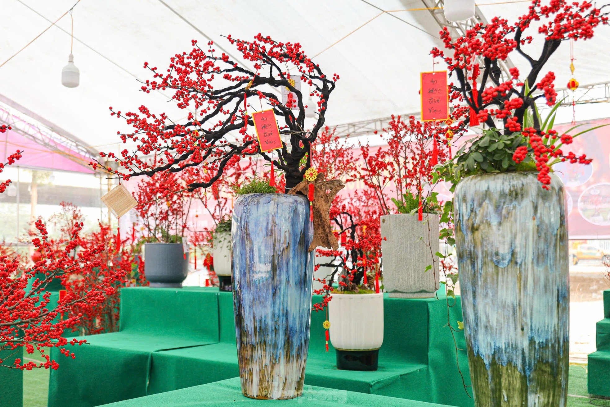 Fresh peach blossoms combined with driftwood worth hundreds of millions of dong still attract customers photo 2