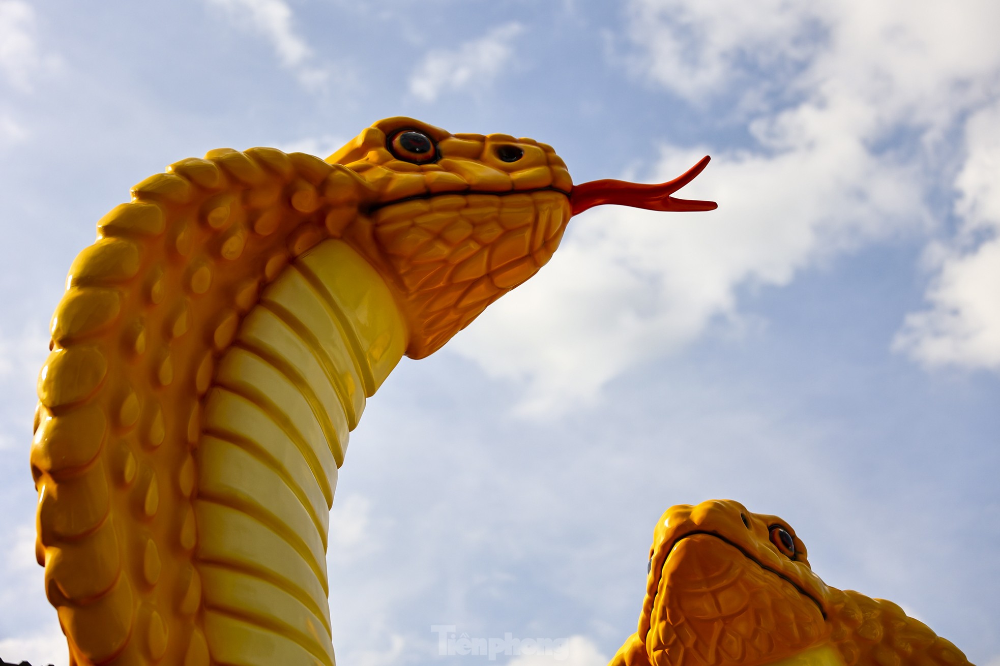 Admire the giant snake mascot worth 500 million VND in Ho Chi Minh City photo 4