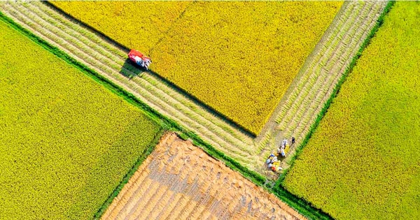 Opening of the exhibition and award ceremony of the 9th Quang Ngai Province Art Photography Contest