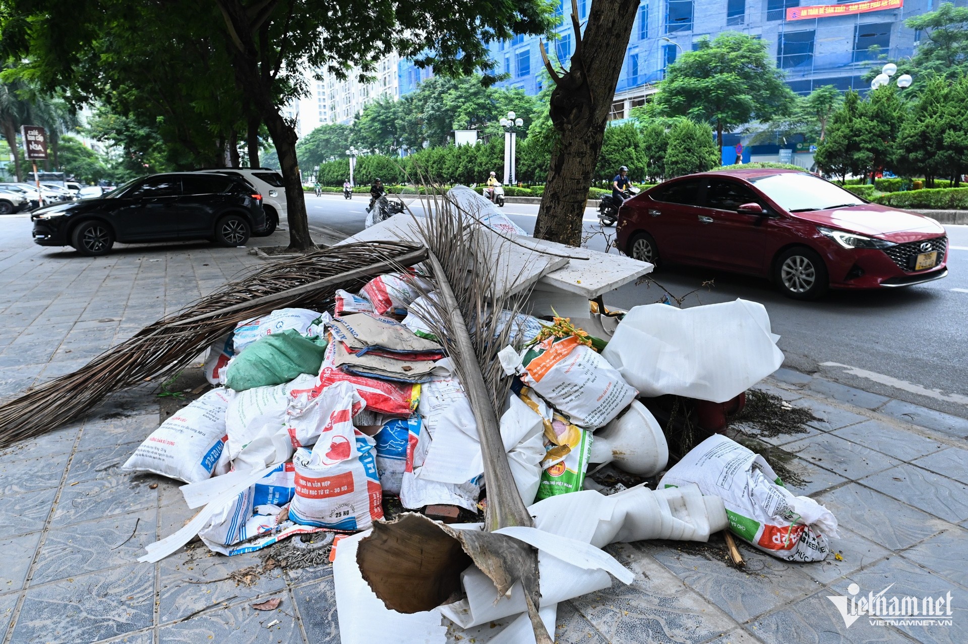 Estado actual de las aceras y franjas medianas a lo largo de la ruta de autobuses BRT donde se propone recortar, foto 7