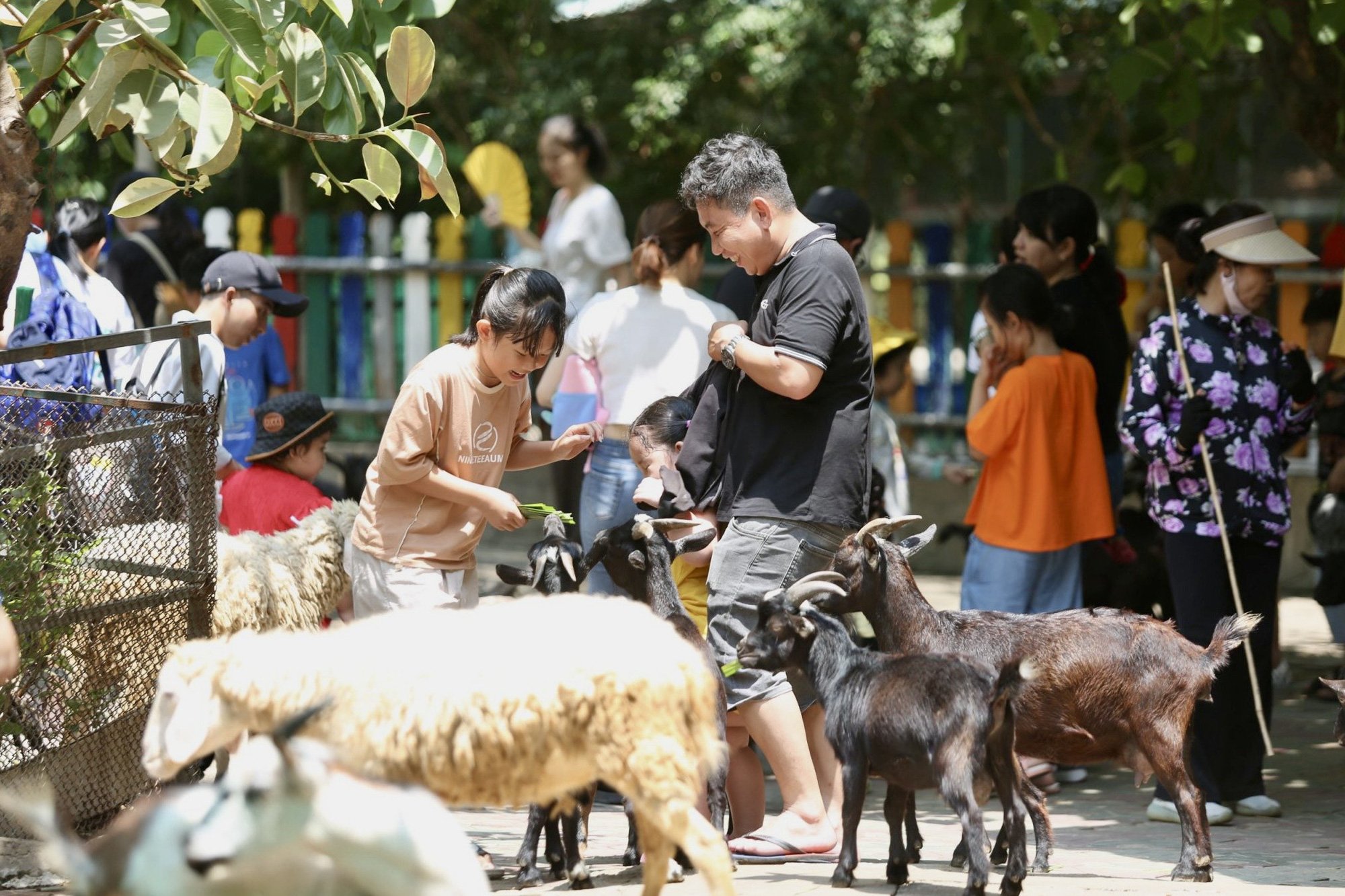 Suối Tiên, Thảo cầm viên hút khách trong ngày lễ giỗ Tổ Hùng Vương- Ảnh 8.