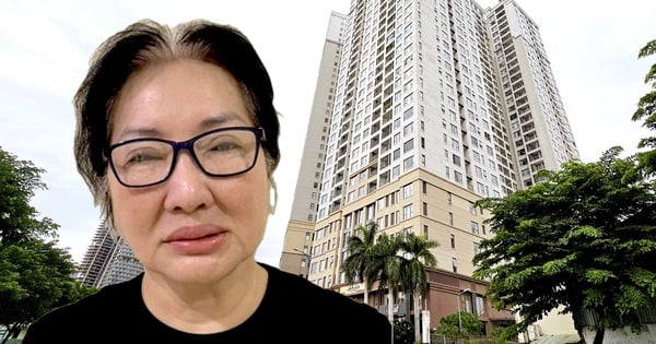 Ms. Nguyen Thi Nhu Loan and a series of scandalous deals to buy cheap public land by Quoc Cuong Gia Lai